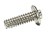 Sanitary Extra-Wide Truss Head Screws