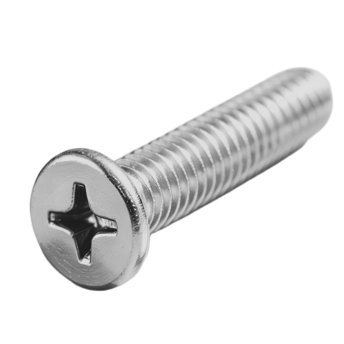 316 Stainless Steel PanHead Phillips Screws